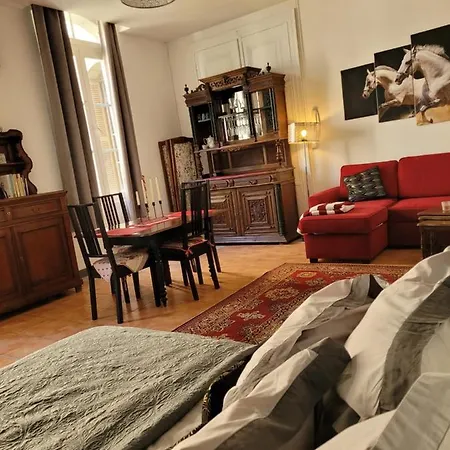 Sequoia Au Pied Du Chateau * Сомюр