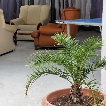 Appartamento Séquoia Au Pied Du Château Saumur