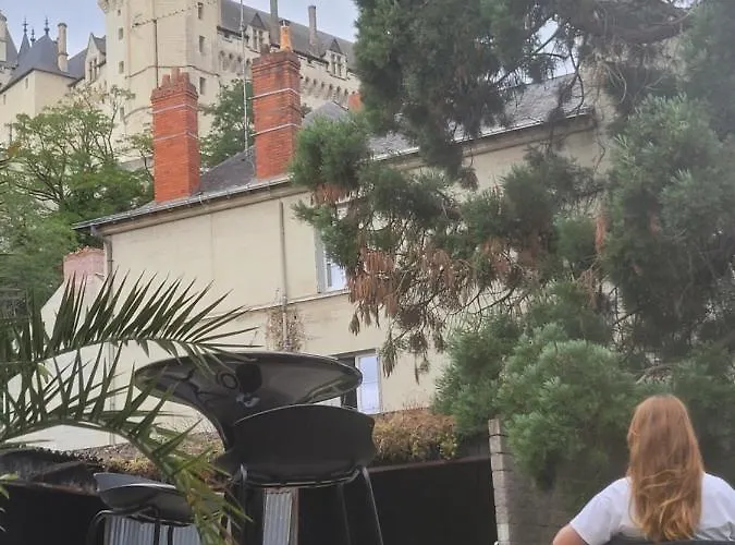 Sequoia Au Pied Du Chateau